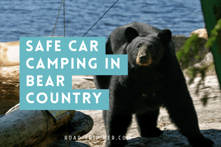 Safe Car Camping in Bear Country